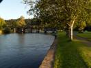 Inistioge Bridge from the park outside 'Footlights'